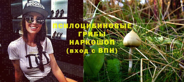 первитин Абаза